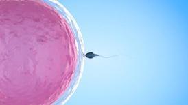 Progesteron nedir? Tüp bebek tedavisinde progesteron kullanımının önemi