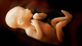 Anne karnında bebeğin fizyolojik gelişimi, uyuması, öğrenmesi ve kişiliği