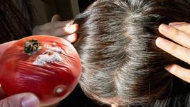 Beyaz saçları 30 dakikada yok ediyor! Çürük domatesler boyadan bile etkiliymiş