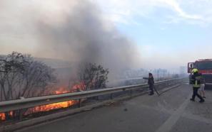 Mersin'de bulvardaki ağaçlıktaki yangın söndürüldü