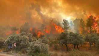 Muğla'da olası orman yangınlarına karşı tedbirler alındı