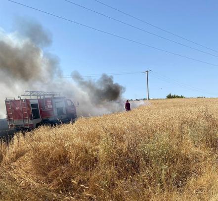 Edirne’de 20 dönüm buğday ekili alan yandı