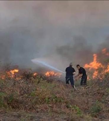 Erdemli'de orman yangını kontrol altına alındı