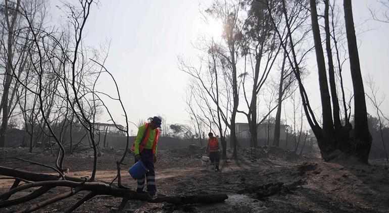 Şilide orman yangını kabusu 92 noktada devam ediyor... Can kaybı giderek artıyor