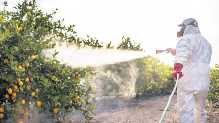 Meyve ve sebzedeki pestisit tehlikesi