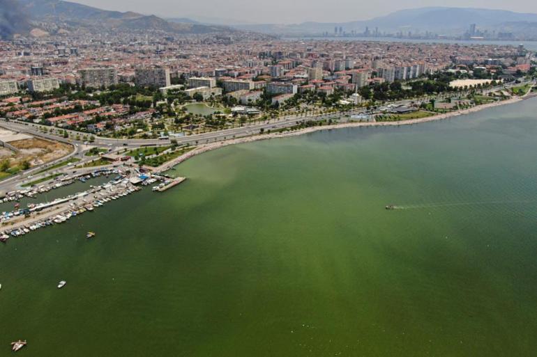 Plankton patlaması İzmirde endişe...