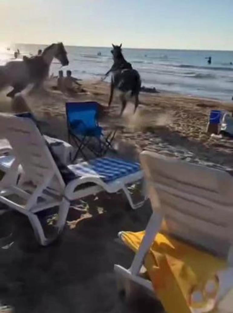 Şile plajında panik Sahile getirilen atlar güneşlenenlerin arasına daldı