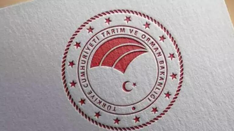 Tarım ve Orman Bakanlığı personel alımı 2025 | Tarım ve Orman Bakanlığı 8500 personel alımı 2025 şartları neler, başvuru ekranı açıldı mı, ne zaman başlayacak